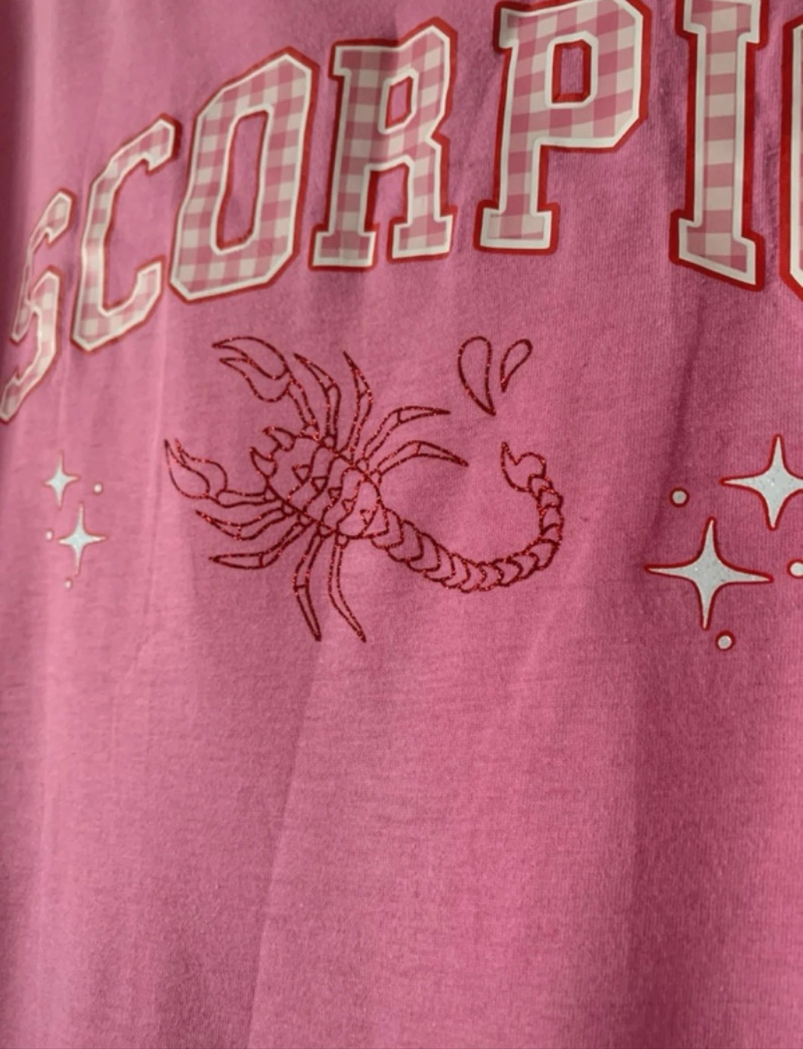 Women's Pink/Red Vichy Check Scorpion T-Shirt - Size 1XL Curve – photo 6